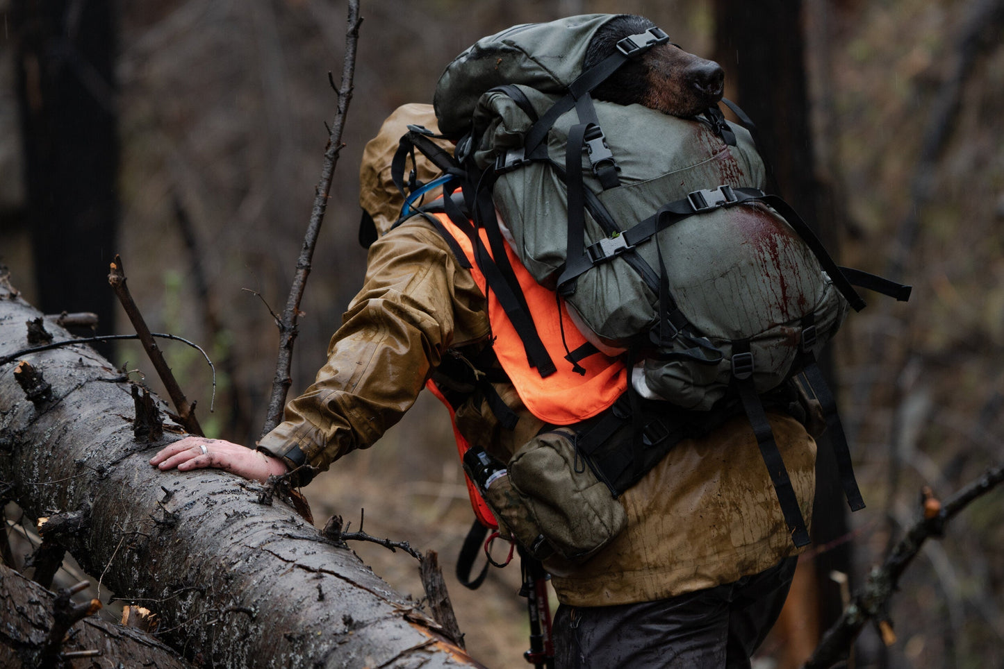 Hunter carrying a large hunting backpack constructed from heavy-duty green synthetic material with black nylon webbing and plastic buckles; the hunter is wearing a synthetic, possibly waterproof, jacket and an orange synthetic safety vest